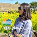 제주민속촌 | 제주 여행 숨은 유채꽃 명소 추천 제주민속촌 포토존
