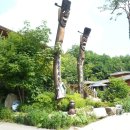 별빛사냥 이미지