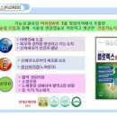 플로렉스 이미지