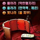 라파헬스