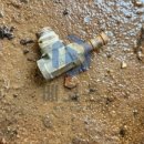 장수한우유전자뱅크 이미지