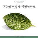 세이지치과의원 이미지