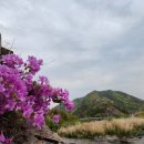 유교경전:맹자 이미지