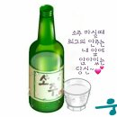 🍾소주마시는 법&#34; 🍾 이미지