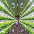 신선농장 이미지