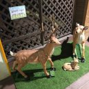 대자연유치원 이미지