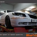 왓츠업(WHATS UP) 이미지