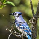 역삼-1731 이미지