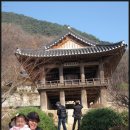 청옥산휴양림 이미지