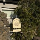 수피아제주 | 김녕 감성숙소, 수피아제주 니스