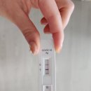 231009-15 일기 / 너공 / 코로나 확진 / 안동 당일치기 여행 / 유아히어카페, 낙강물길공원, 월영교...