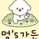 멍스가든 이미지