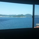 까치와 산토리나 이미지