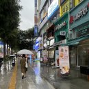 엘제이비 이미지