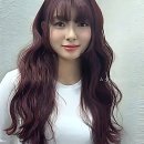 나라라펫 송파거여점 | 머리 탓에 기분까지 멜랑꼴리였던 썰 푼다