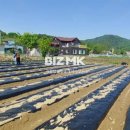 가평탑공인중개사사무소 이미지