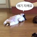 피유피(P.U.P) | 겨울의 끝자락에서