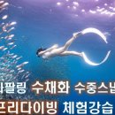 프리다이빙 체험 네이버블로그