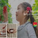 해담영농조합법인 이미지