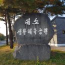 대소생활체육공원 이미지