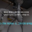 방역하는 친구들 대전충청지사