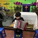 아코디언 이미지