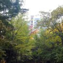 푸른마을아파트 이미지