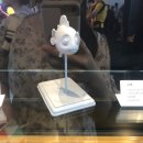 주식회사 거보 이미지