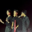 강생이천국 | 어떻게 매달 콘서트 안될까 터치드 여름 콘서트 어트랙션 양일 후기