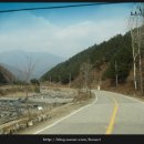 건들내민박 이미지