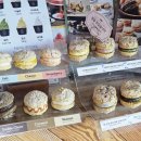 지오아라 이미지