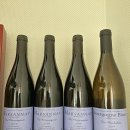 보라돌이 Sylvain Pataille 몇 종 후기