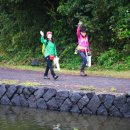 간세다리 이미지