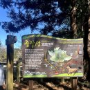 수망리 산마장 잣성 이미지