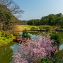 (주)핀크스투어 | 한국 1위 골프장보다 일본이 더 놀라운 이유