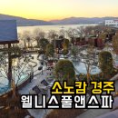 스파앤 | 소노캄 경주 온천 풀앤스파 | 사우나 시설 솔직후기