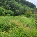 무주장의사 이미지