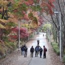 제635차 산수회(24.11/20)모임결과 이미지