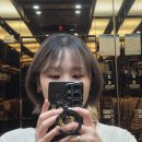 하라헤어(HARA HAIR) | 당산역미용실 템드헤어룸 당산역점 서울미용실 탈색 염색 잘하는 미용실