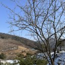 영하목장 이미지