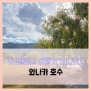 푸른나무 | 와나카] 와나카 호수 - #여행 7일차 와나카 비치 청정 푸른 호수 뉴질랜드 나무 체리 산책 솔직 리뷰 후기