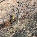 청우농장 이미지