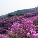 내가면-4 이미지