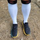 느티나무어린이공원화장실 이미지