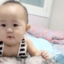 핑키스웨어 이미지