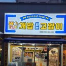 개밥파는고양이두정점
