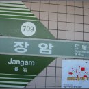 장암동사무소앞 | 20091005 수락산(서울 노원, 황)