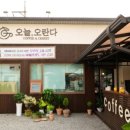 오늘오란다