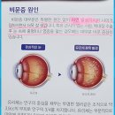 온부부치과의원 이미지
