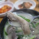 낙성대역(2) | 낙성대역 국밥맛집 '태기산 더덕순대' 내돈내산 후기